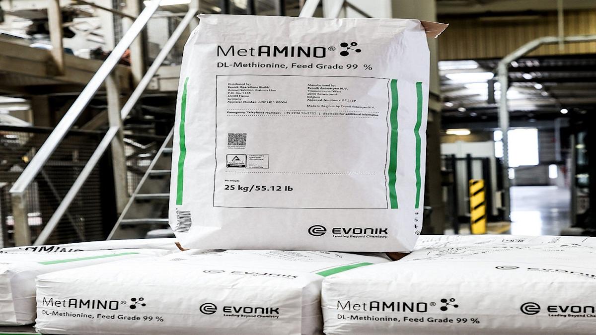 Evonik Launches Eco-Friendly Paper Bags for MetAMINO Packaging