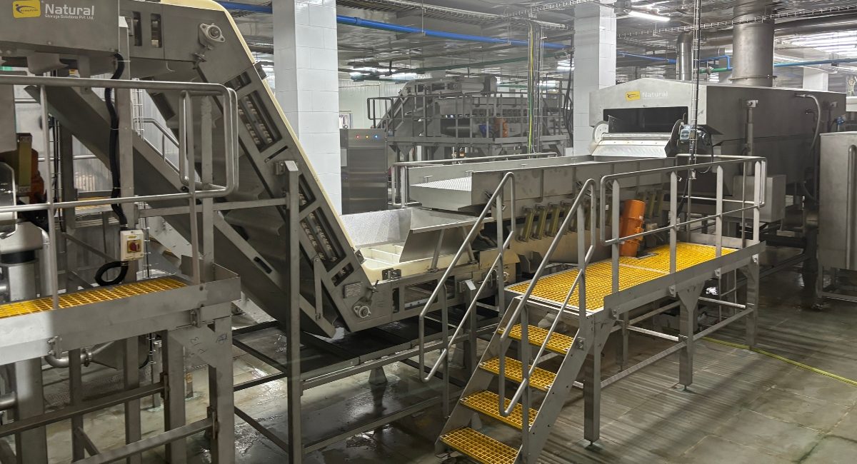 NSSPL Partners with VH Vertical Packaging to Boost French Fries Processing and Packaging