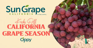 Sun Grape California Launches Grape Season with Eco-Friendly Packaging