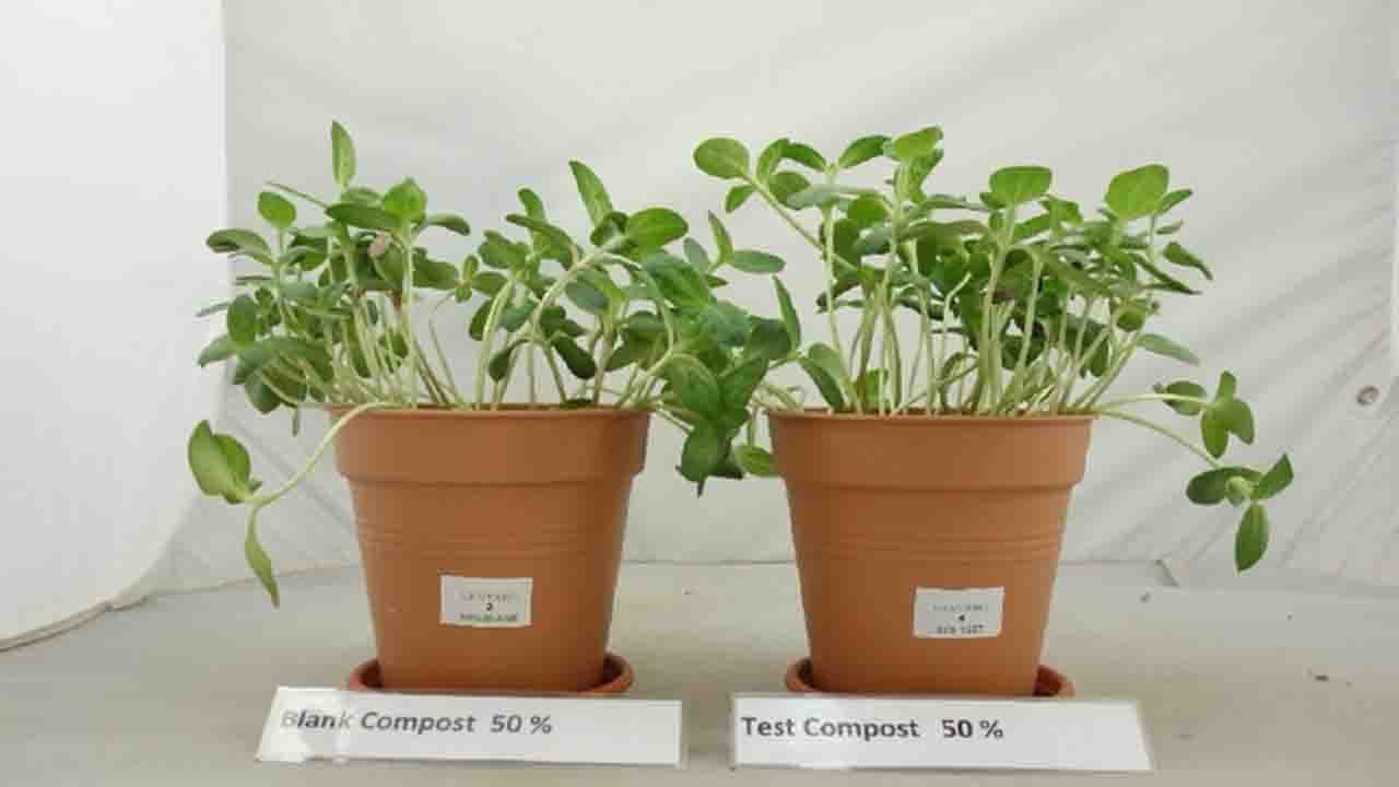 Cortec® Launches 100% Biobased Compostable Bioplastic – Eco Works® 100
