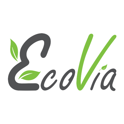 EcoVia: Bangladeshi Start-Up Making Biodegradable Plastic from Waste