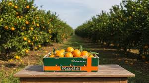 Mondi and Özler Tarım Partner to Reduce Food Waste with Recyclable Corrugated Packaging