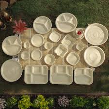 Meraki Pack Launches Eco-Friendly Bagasse Tableware in India