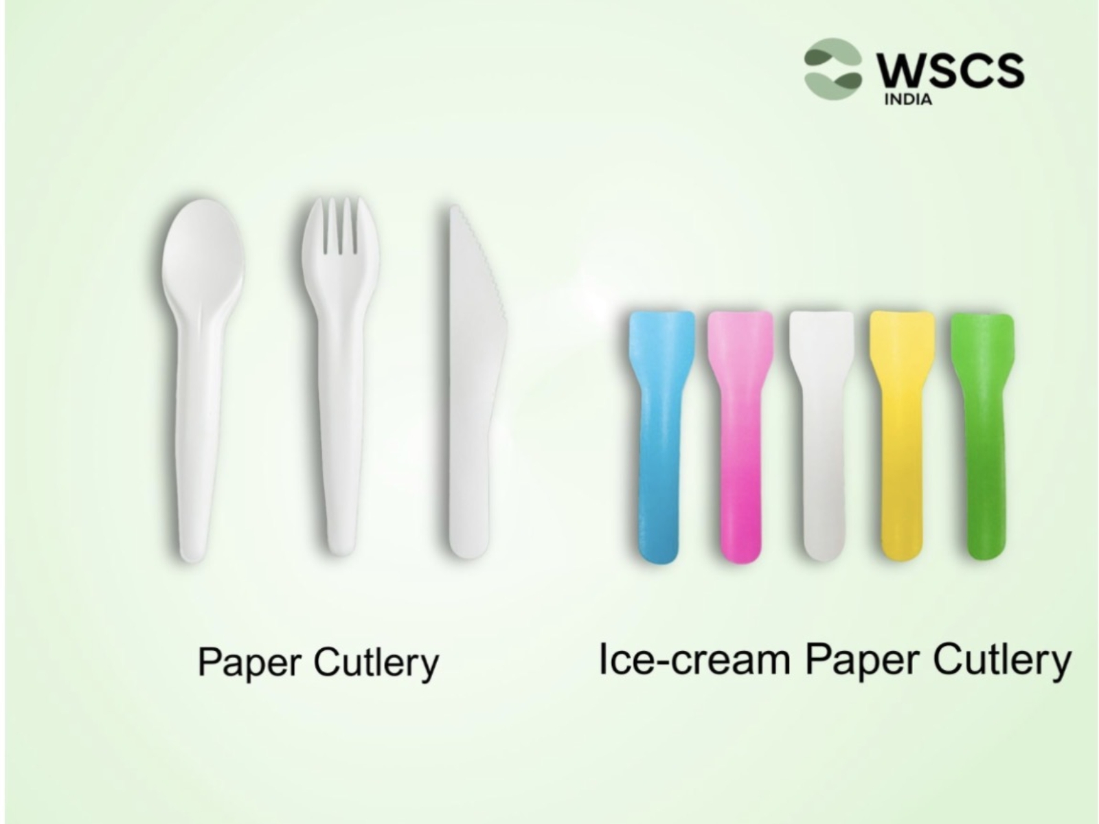 WSCS India Sees Fast Growth in Paper Cutlery Demand Amid Rising Sustainability Focus