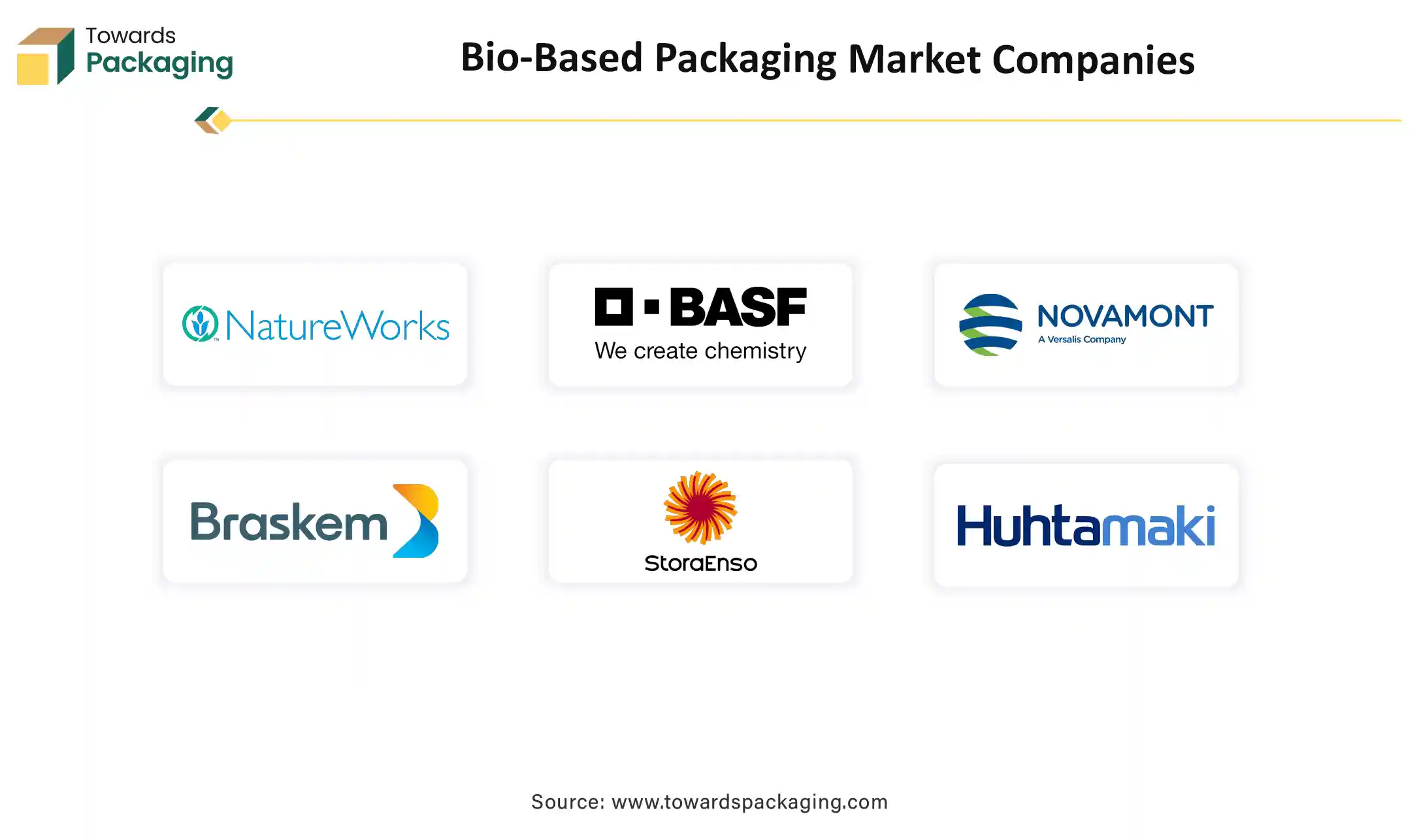  Bio-Based Packaging Market Top Key Players