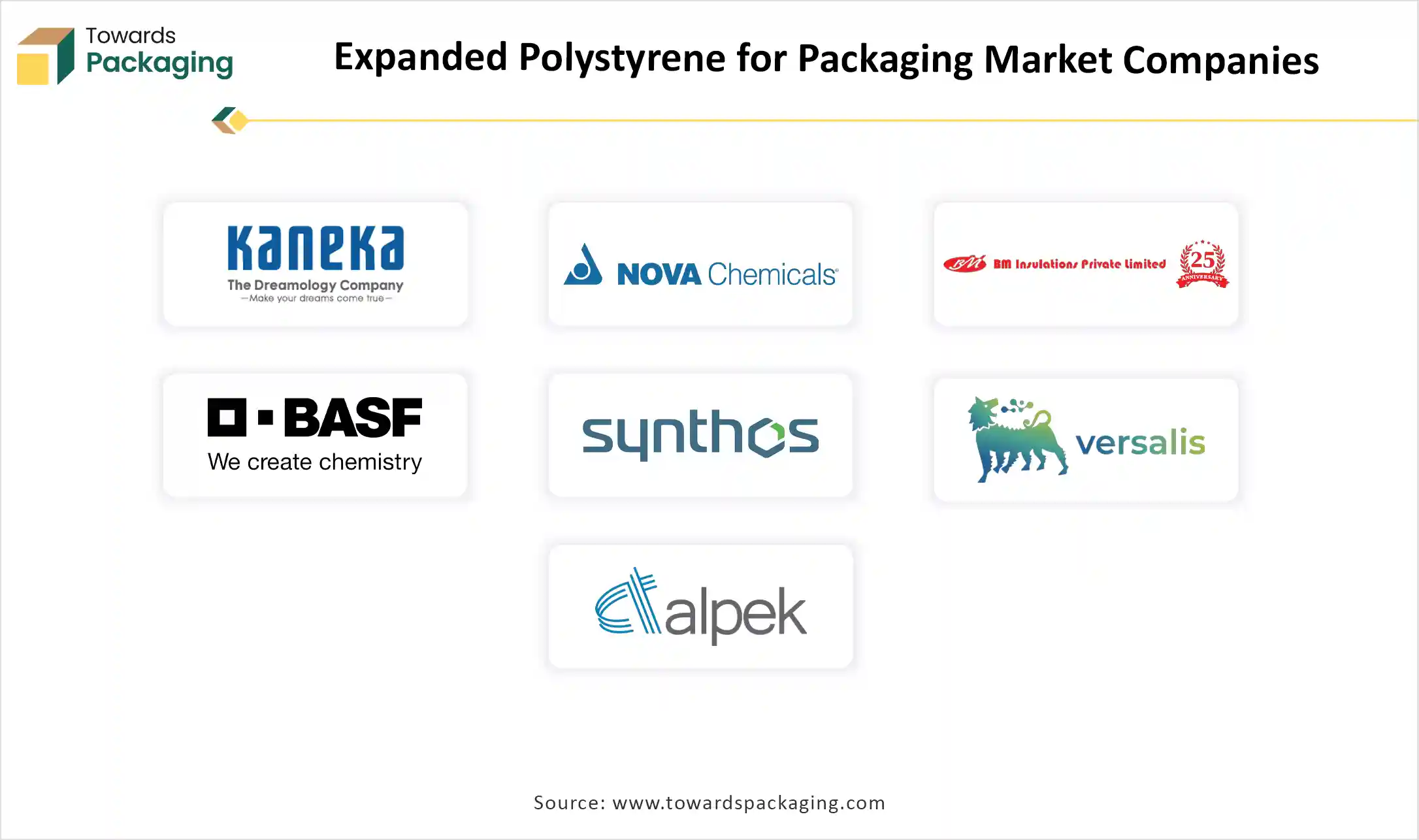 Expanded Polystyrene for Packaging Market Companies