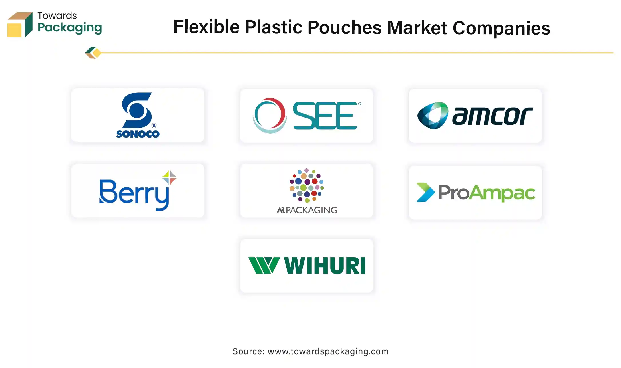 Flexible Plastic Pouches Market Companies Flexible Plastic Pouches Market Companies