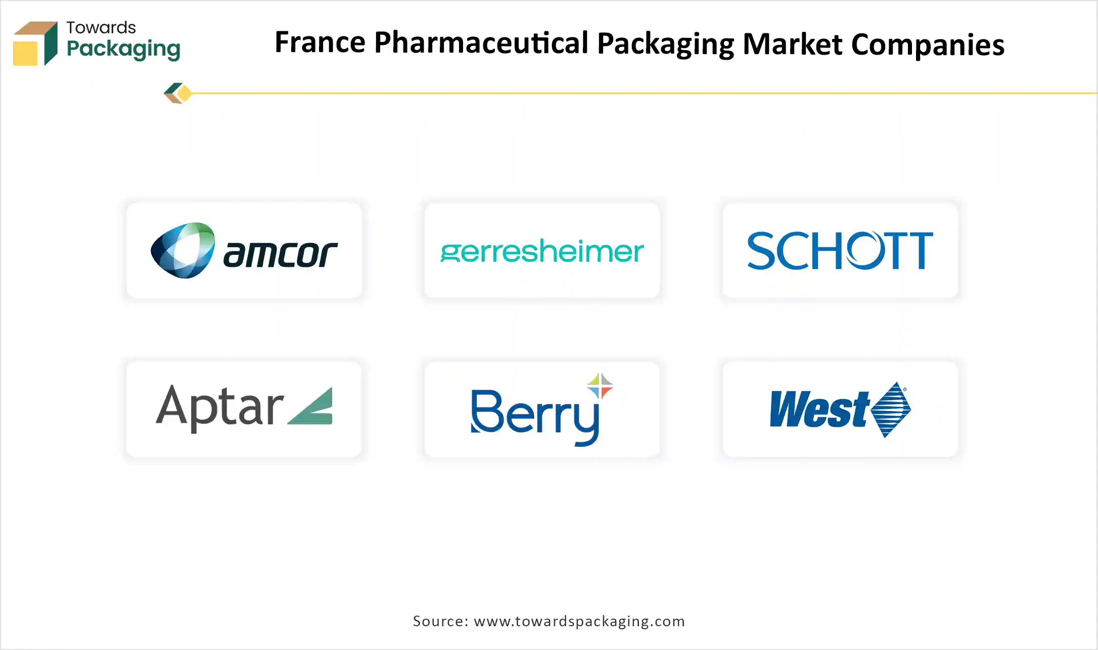 France Pharmaceutical Packaging Market Top Key Players