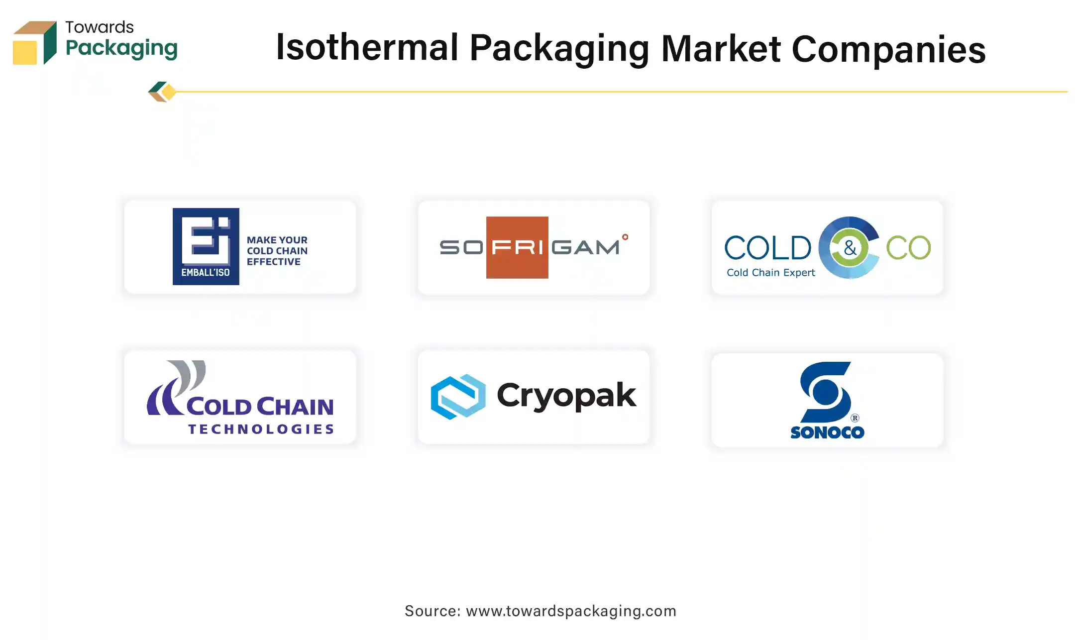 Isothermal Packaging Market Companies Isothermal Packaging Market Companies