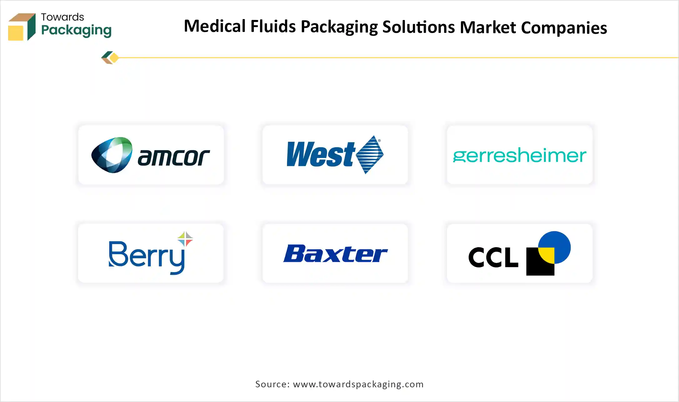 Medical Fluids Packaging Solutions Market Top Key Players