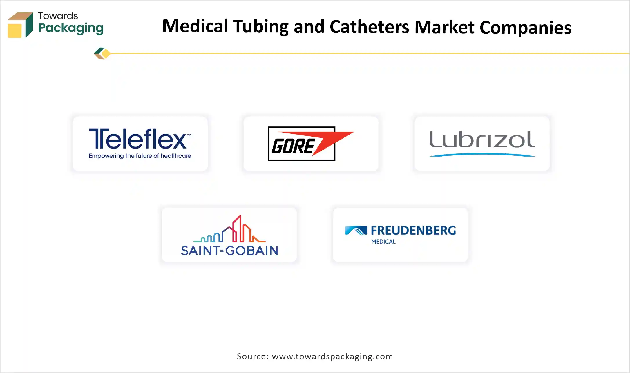 Medical Tubing and Catheters Market Companies