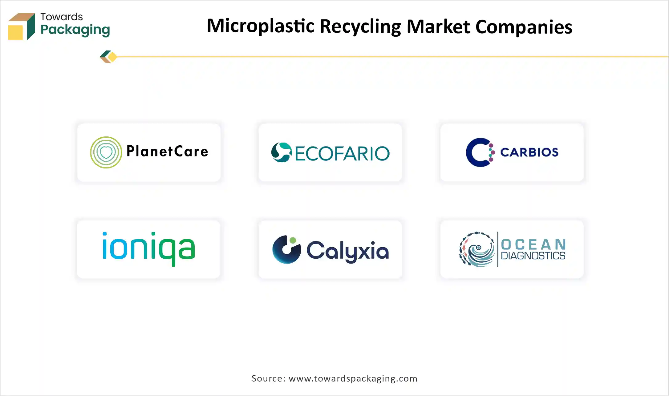 Microplastic Recycling Market Companies