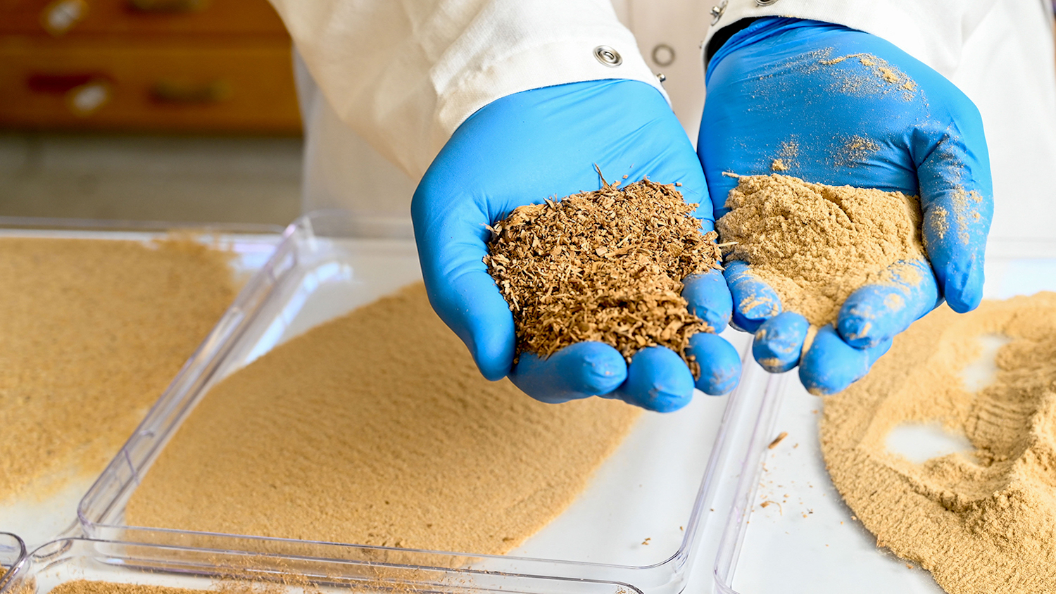 NC State's Forest Biomaterials Team Creates Eco-Friendly Alternative to Plastic Foam