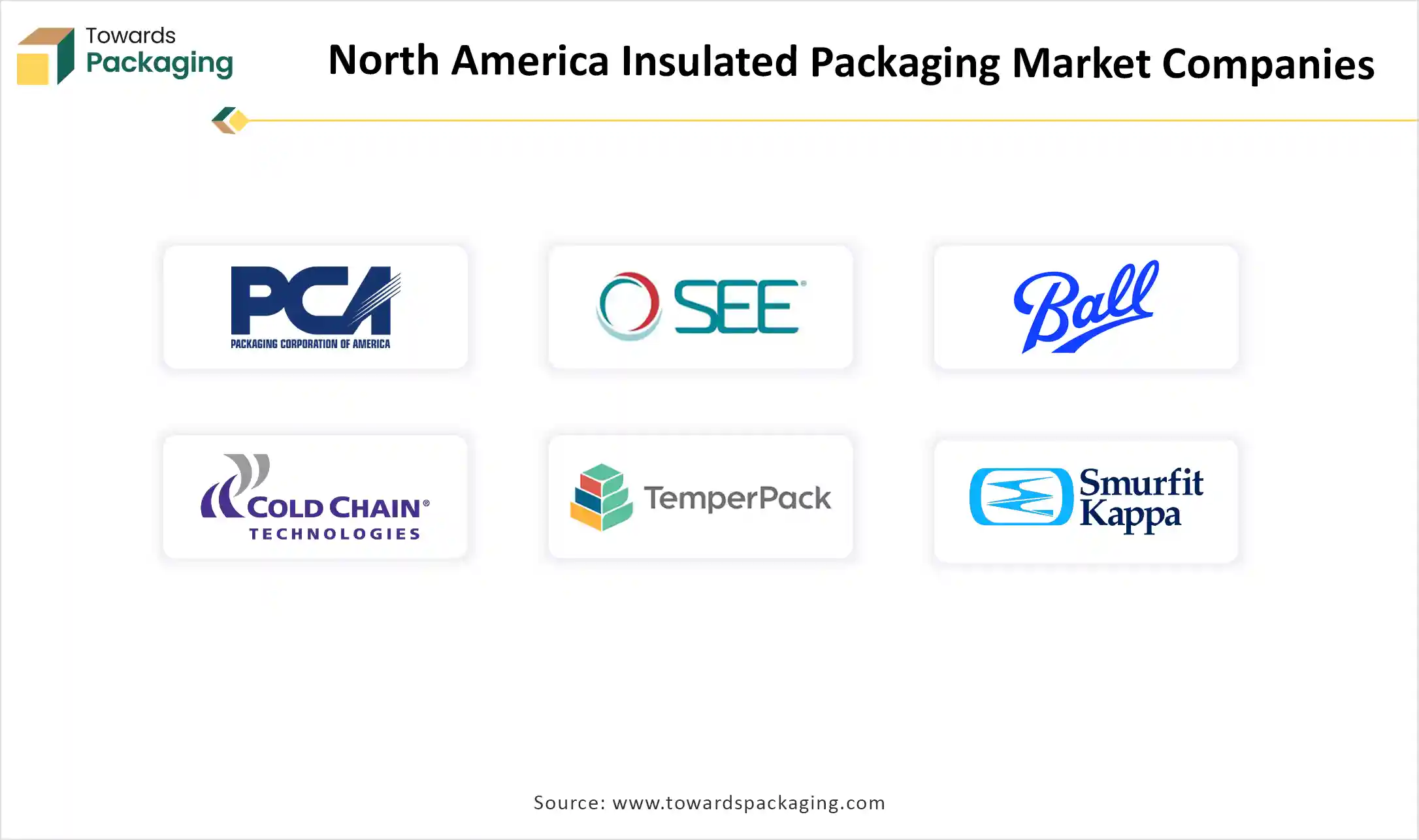 North America Insulated Packaging Market Companies