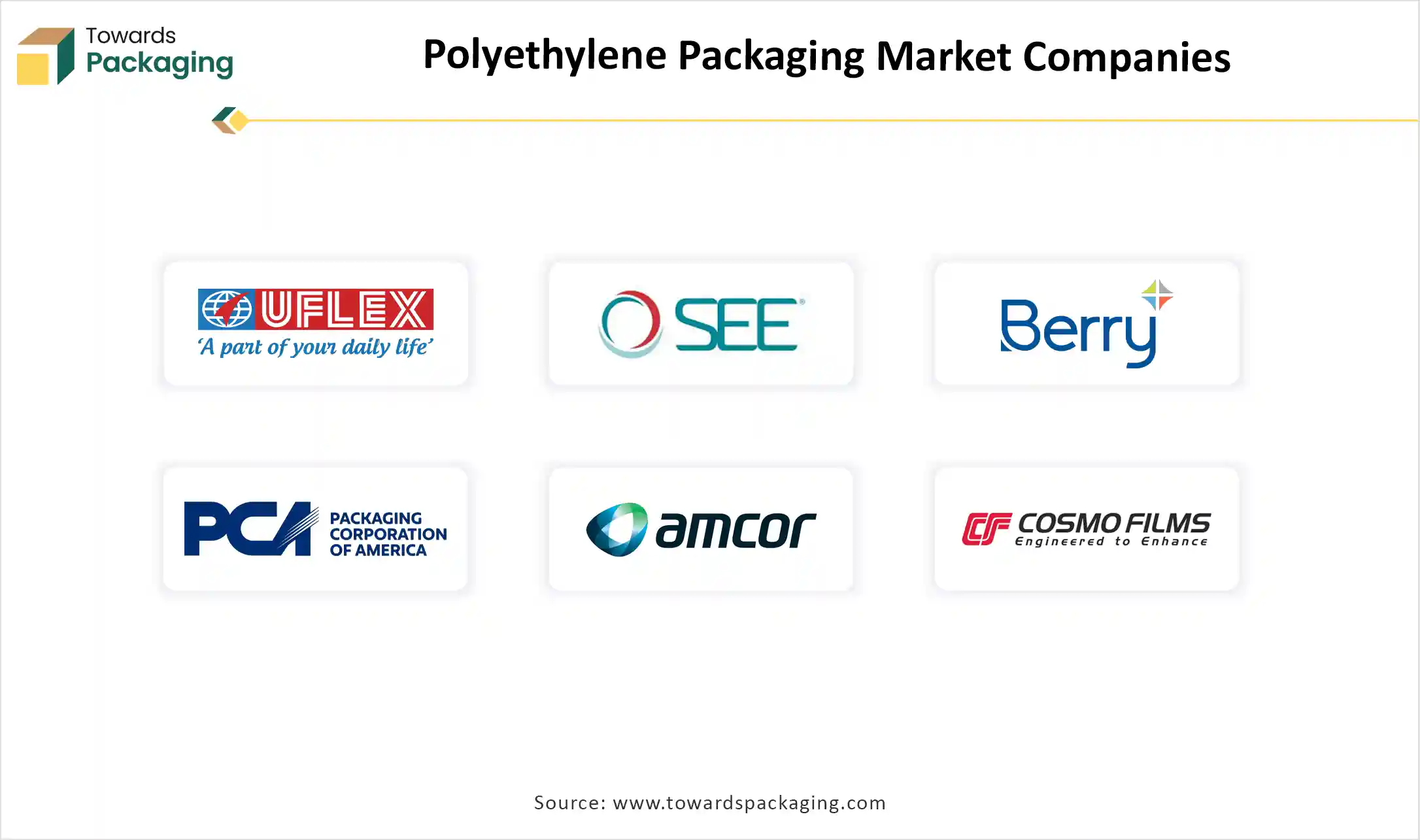 Polyethylene Packaging Market Companies