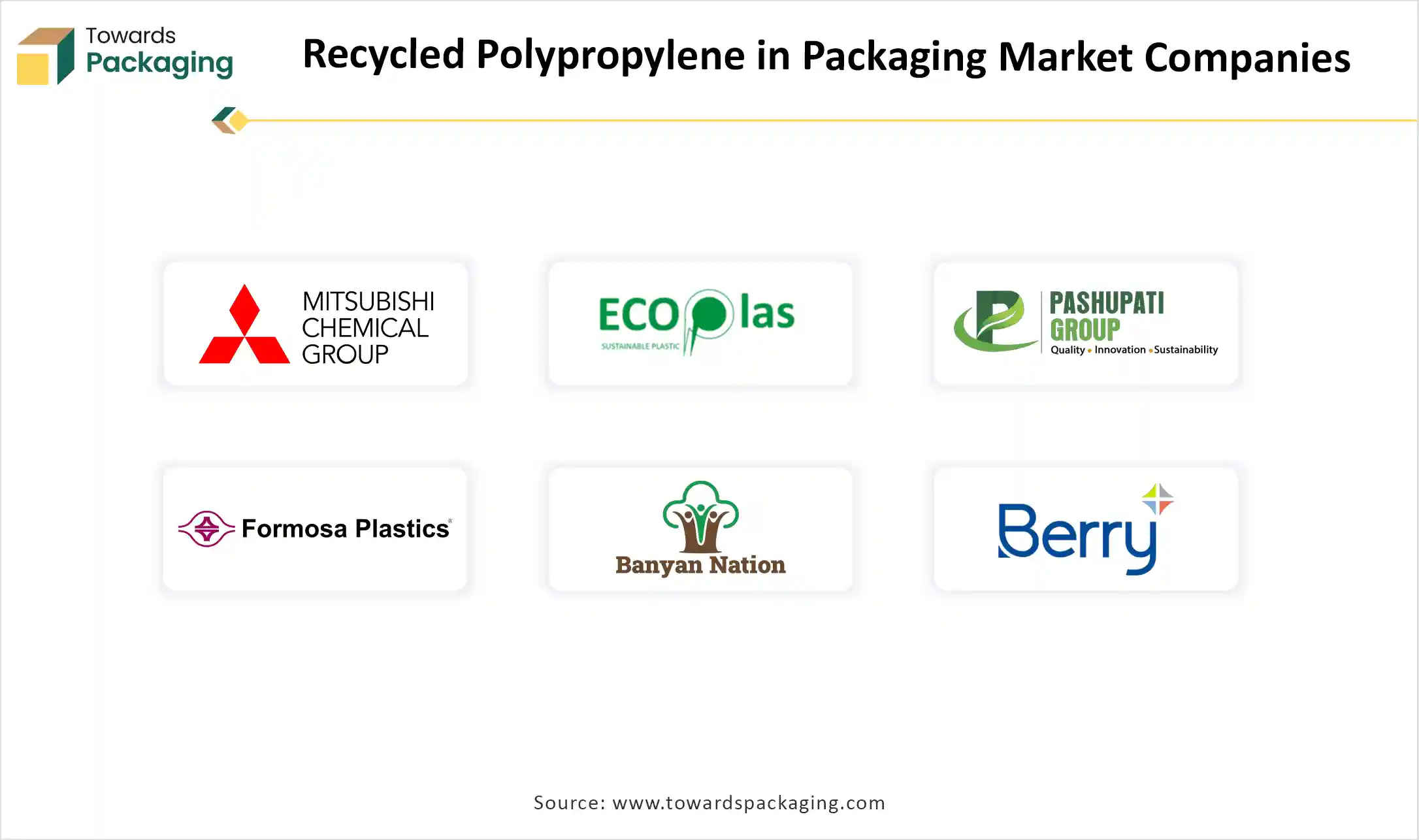 Recycled Polypropylene in Packaging Market Companies