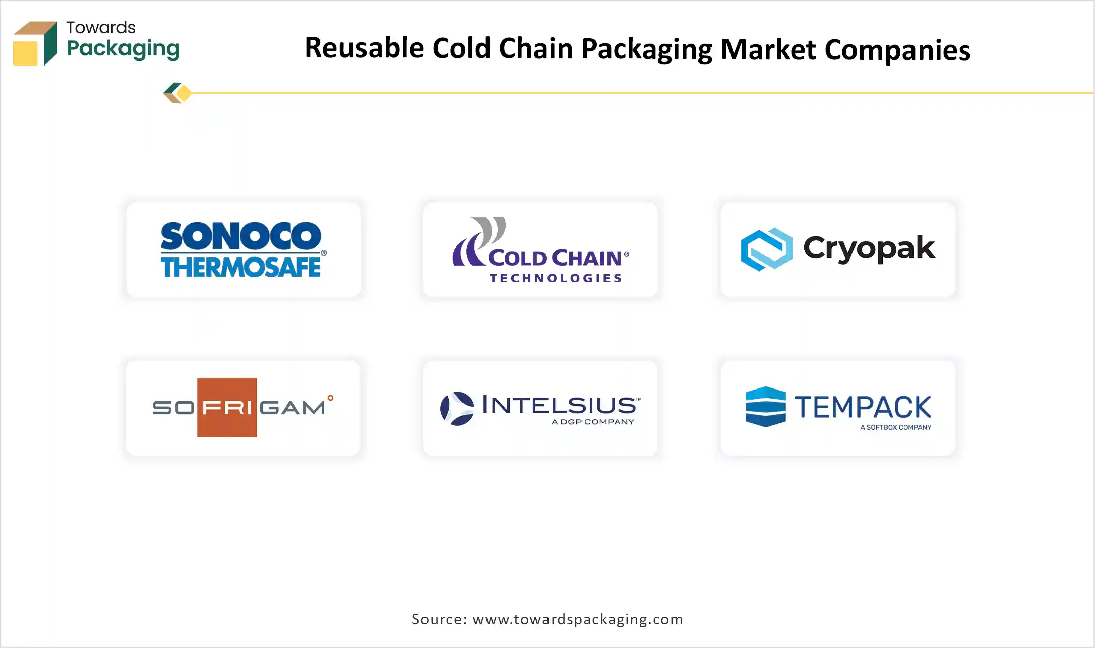 Reusable Cold Chain Packaging Market Top Key Players