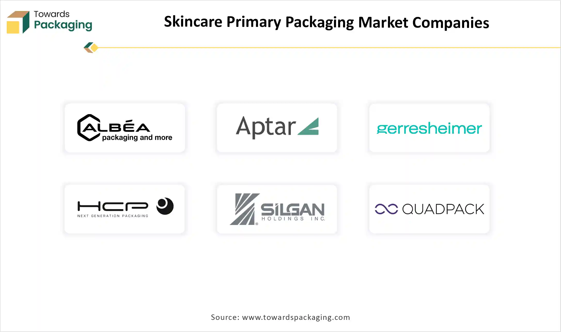 Skincare Primary Packaging Market Top Key Players