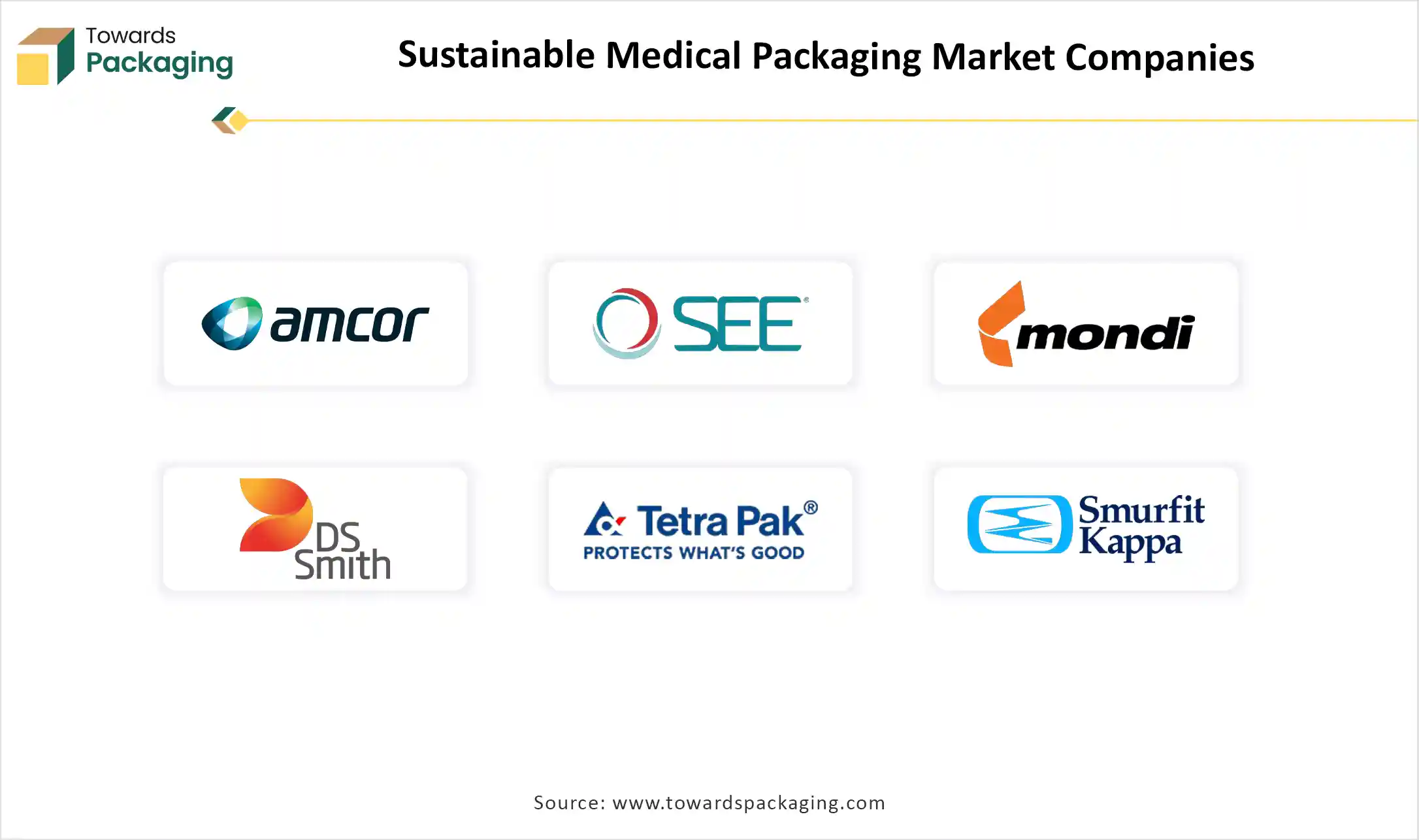 Sustainable Medical Packaging Market Top Key Players